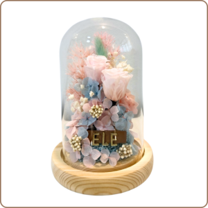 Apricot Pink