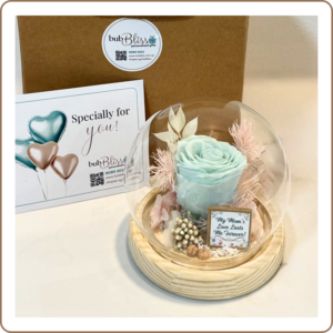 Mint Serenity